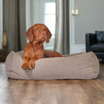 The Franklin-Fluffernutter Faux Fur