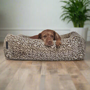 The Franklin-Leopard