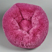 The Muffy-Cherry Blossom