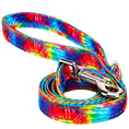 Load image into Gallery viewer, Colorful tie-dye dog leash by EcoBark with padded comfort grip, available in 4ft, 5ft, and 6ft lengths for small and medium d
