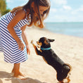 Load image into Gallery viewer, To the Beach Dog Collar
