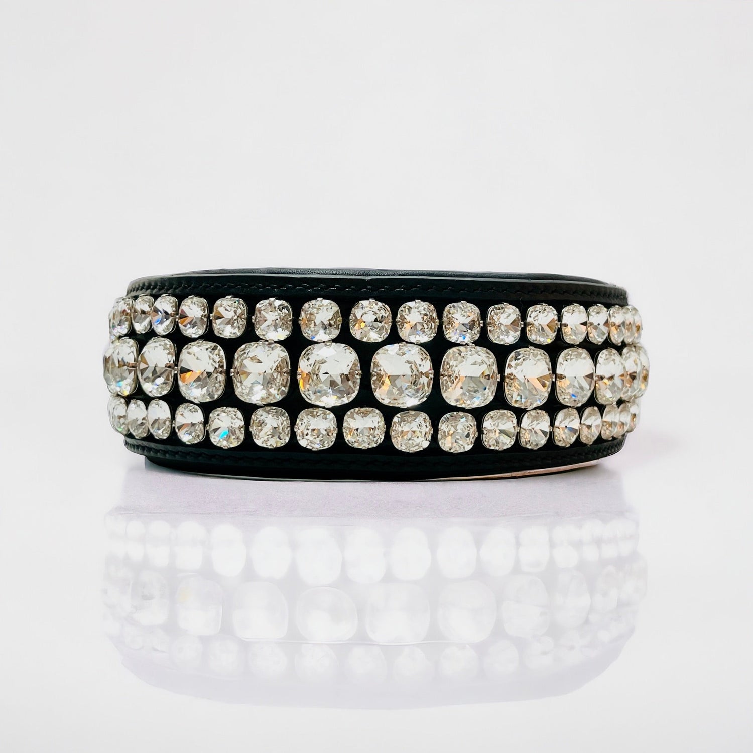 Collars, Leashes & Harnesses