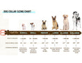 Load image into Gallery viewer, Traditional Style Leather Collar and Leash Set size chart
