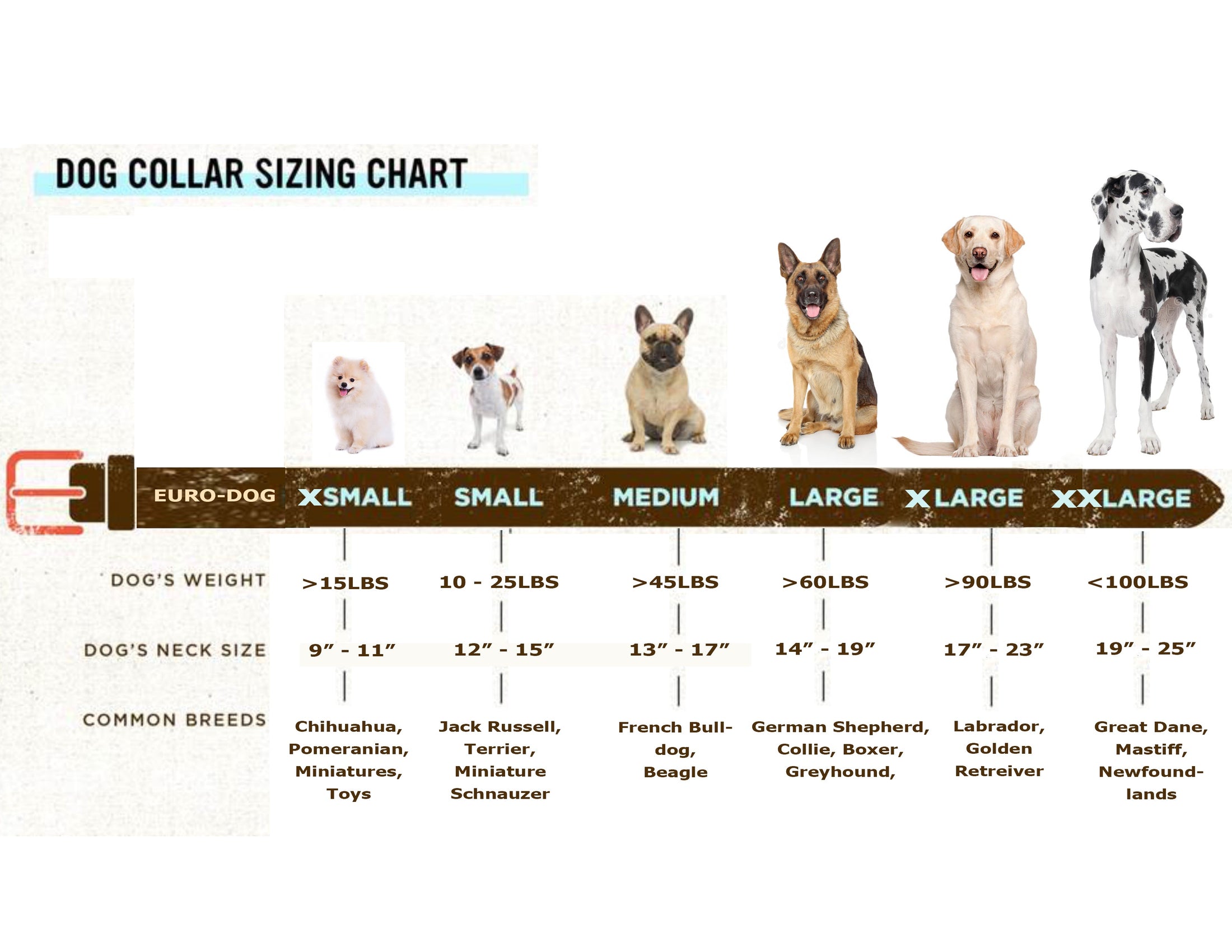 Traditional Style Leather Collar and Leash Set size chart