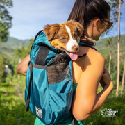 Trainer | Puppy & Small Dog Carrier 