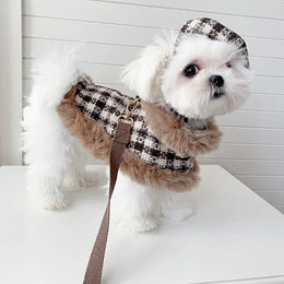Tres Chic Brown Tweed Dog Coat, Hat & Leash Set