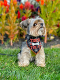 Load image into Gallery viewer, Trick for Treat Halloween Dog Bandana
