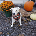 Load image into Gallery viewer, Trick for Treat Halloween Dog Bandana
