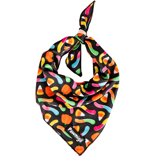 Trick N Treat Cooling Bandana - Southlake Paws