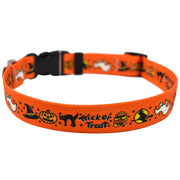 Trick or Treat  Dog Collar