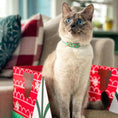 Load image into Gallery viewer, Tropical Fish Cat Collar
