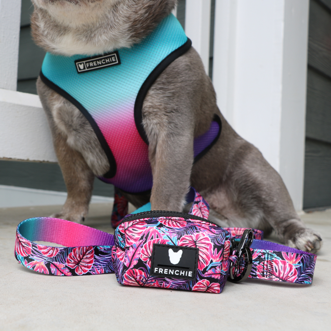 Frenchie Comfort Leash - Tropical Palms - Southlake Paws