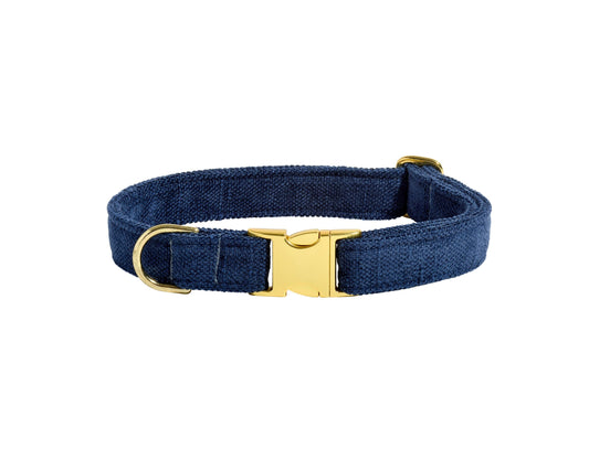 Designer Buckle Collar