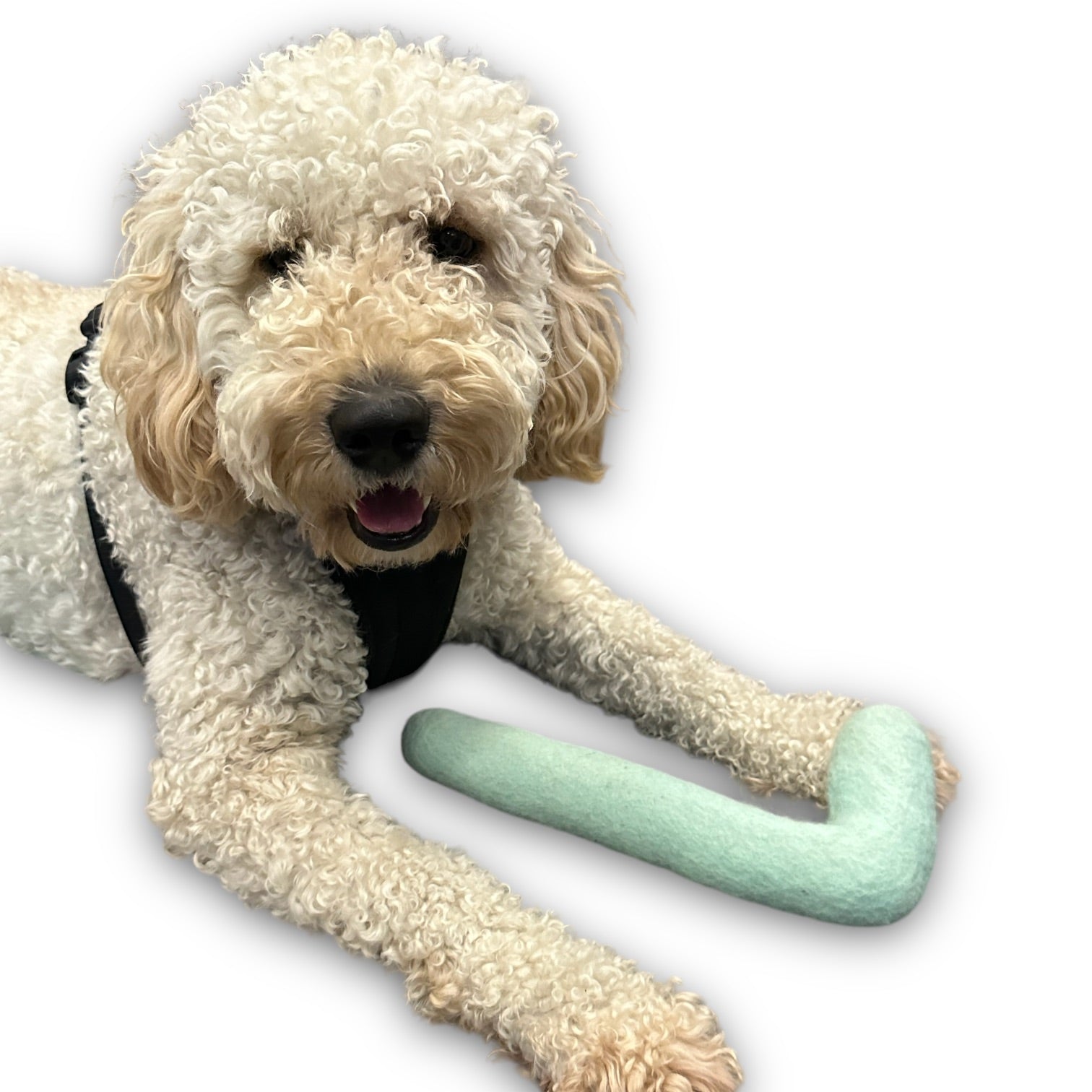 Tube Felt Dog Toy - Southlake Paws