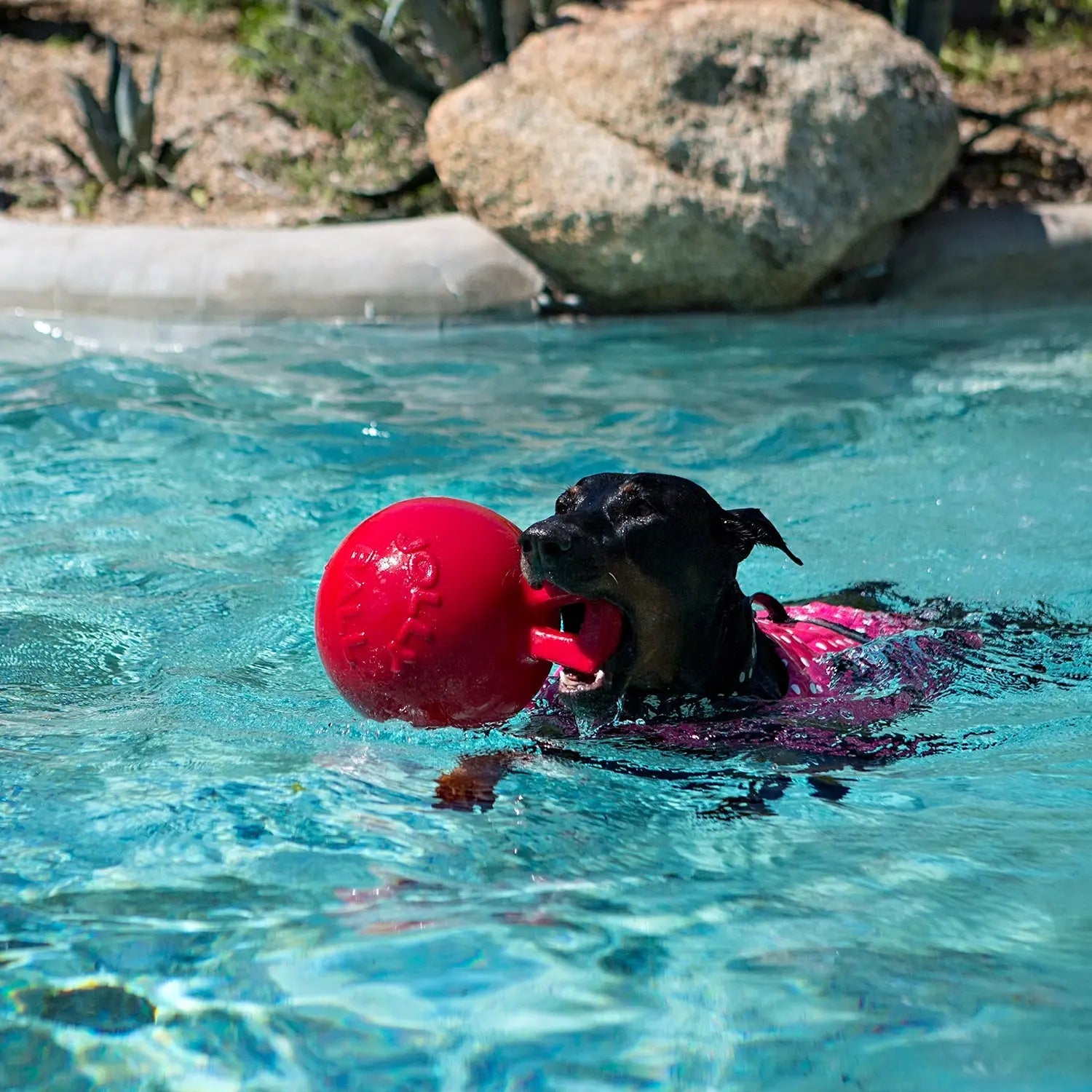Tug-n-Toss Jolly Pets