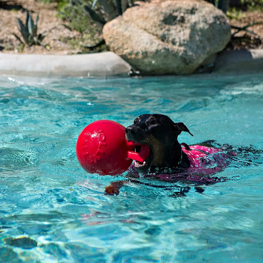 Tug-n-Toss Jolly Pets