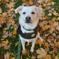 Load image into Gallery viewer, Green Tweed Coat
