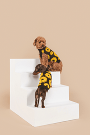 Sunflower Days Sweater