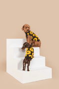 Load image into Gallery viewer, Sunflower Days Sweater - Southlake Paws
