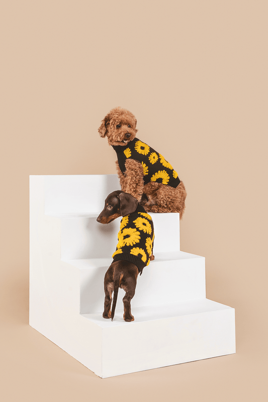 Sunflower Days Sweater - Southlake Paws