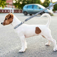 Load image into Gallery viewer, U Of North Carolina Satin Leash
