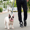 Load image into Gallery viewer, U Of North Carolina Satin Leash
