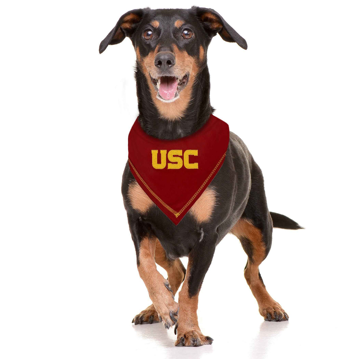 Usc Tie-Around Dog Bandana