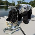 Load image into Gallery viewer, Tommy Bahama Pet - Double Insulated Stainless Steel Bowls
