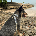 Load image into Gallery viewer, Tommy Bahama Pet - Collar & Leash Set
