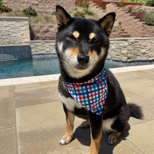 Izod Pet - Bandana
