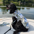 Load image into Gallery viewer, Tommy Bahama Pet - Frandy

