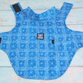 Load image into Gallery viewer, Tommy Bahama Pet - Frandy
