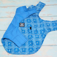 Load image into Gallery viewer, Tommy Bahama Pet - Frandy
