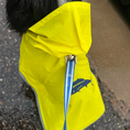 Load image into Gallery viewer, Tommy Bahama Pet - Packable Raincoat

