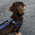 Load image into Gallery viewer, Step In Harness. 

