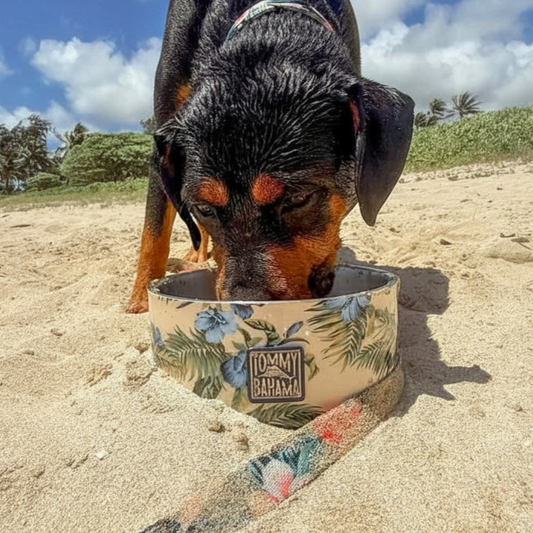Tommy Bahama Pet - Double Insulated Stainless Steel Bowls