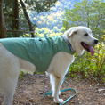 Load image into Gallery viewer, Tommy Bahama Pet - Frandy
