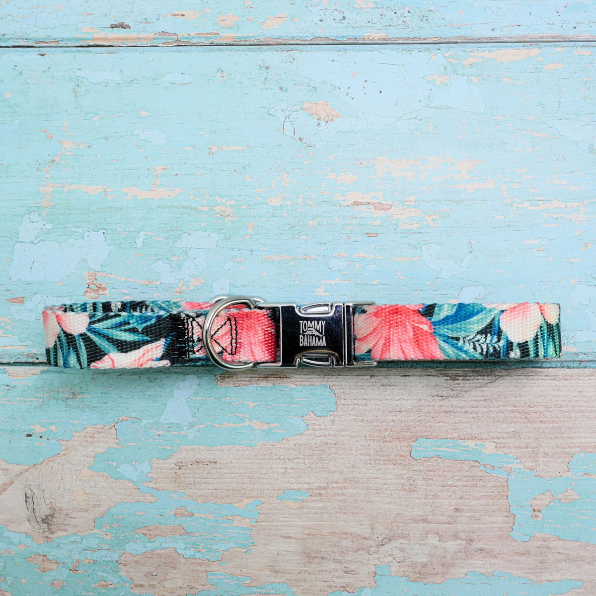 Tommy Bahama Pet - Collar & Leash Set