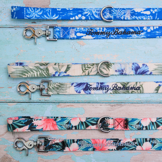 Tommy Bahama Pet - Collar & Leash Set