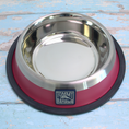 Load image into Gallery viewer, Tommy Bahama Pet - Stainless Steel Bowls
