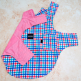 Load image into Gallery viewer, IZOD Pet - Frandy
