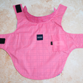Load image into Gallery viewer, IZOD Pet - Frandy
