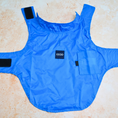 Load image into Gallery viewer, IZOD Pet - Frandy
