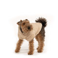 Load image into Gallery viewer, Cream Sherpa Hoodie - Southlake Paws
