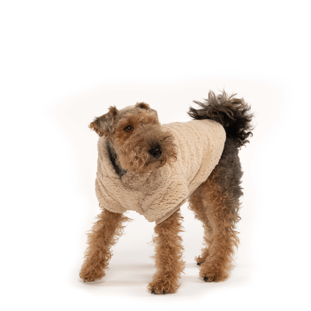 Cream Sherpa Hoodie - Southlake Paws