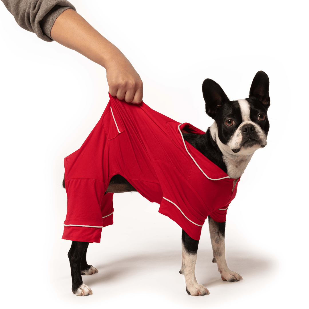 Red Modal Pajamas - Southlake Paws