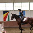Load image into Gallery viewer, Sally Batton Pommel Blocker attached to a saddle, with a rider on a horse in an indoor arena. Flags visible in the background
