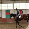 Load image into Gallery viewer, Sally Batton Pommel Blocker in use by a rider on a horse in an indoor arena with flags in the background.
