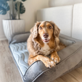 Load image into Gallery viewer, PupChill™ Cooling Bolster Dog Bed 
