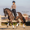 Load image into Gallery viewer, A rider in a gray sweater and helmet is riding a dark horse wearing a Royal Silver Saddle Pad in an outdoor arena.

